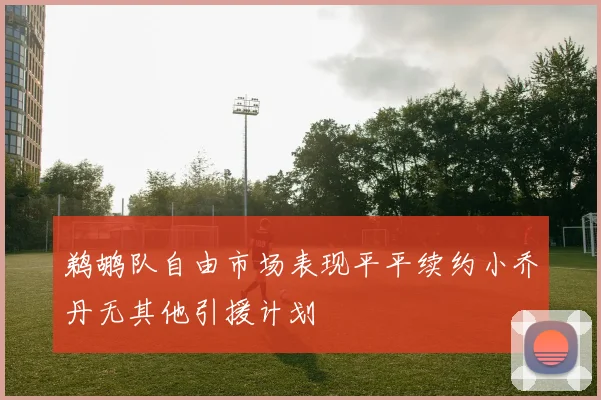 鹈鹕队自由市场表现平平续约小乔丹无其他引援计划